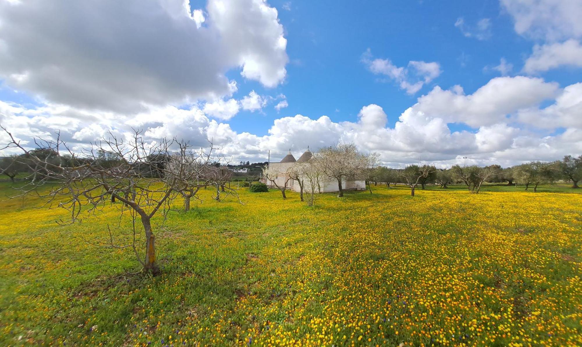 Trulli Carlo Anna Villa Locorotondo Ngoại thất bức ảnh