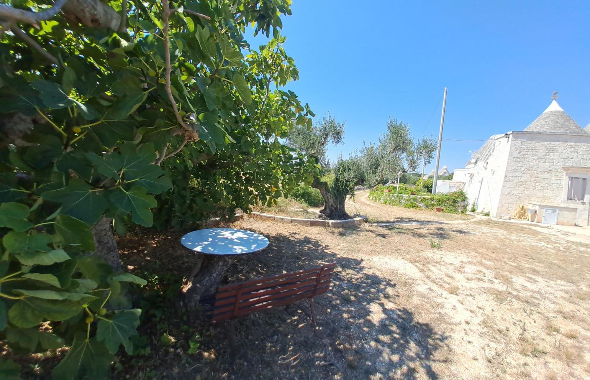 Trulli Carlo Anna Villa Locorotondo Ngoại thất bức ảnh